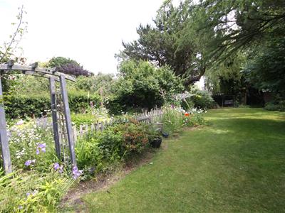 Picture 21